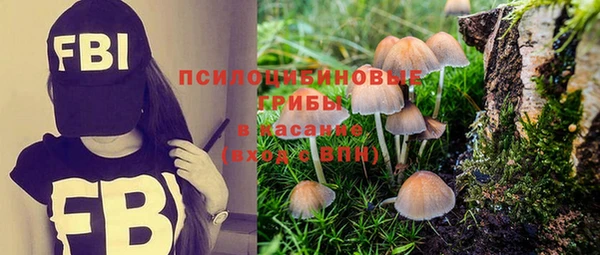 кокс Армянск