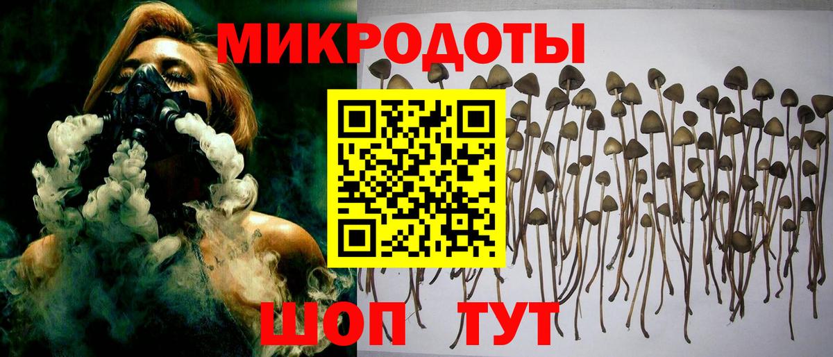 Галлюциногенные грибы GOLDEN TEACHER  Вход с VPN  Псилоцибиновые грибы мухоморы  Карачаевск 