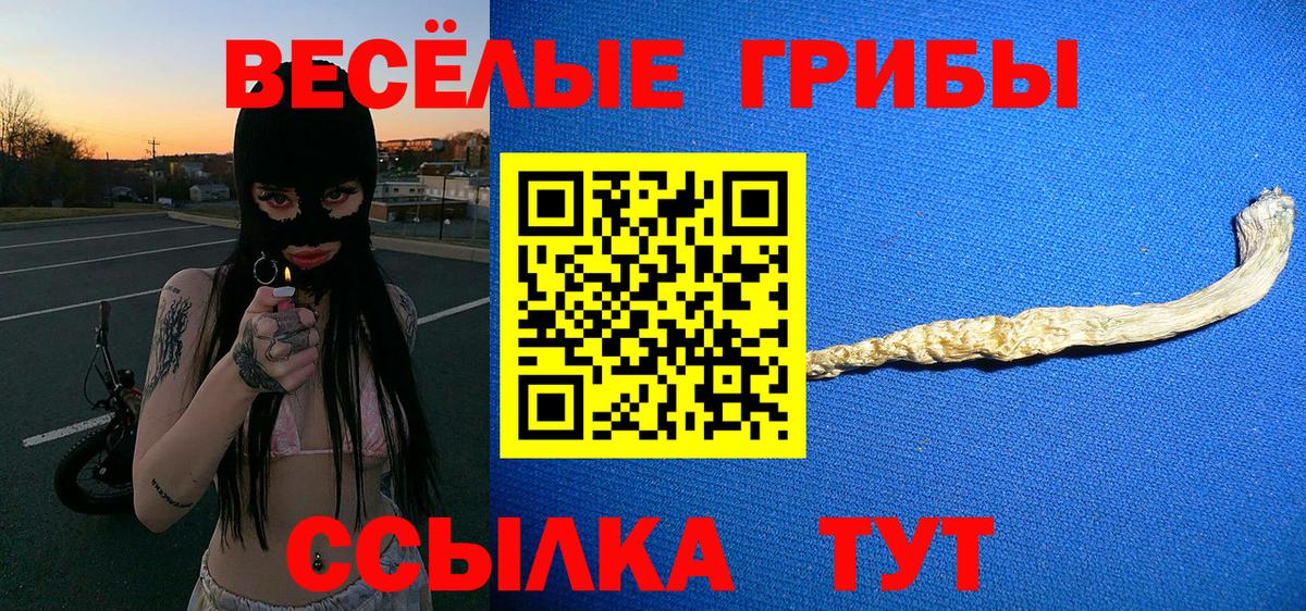 Галлюциногенные грибы GOLDEN TEACHER Карачаевск